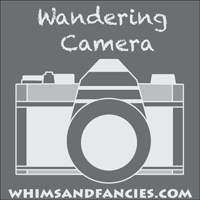 wandering_camera-200